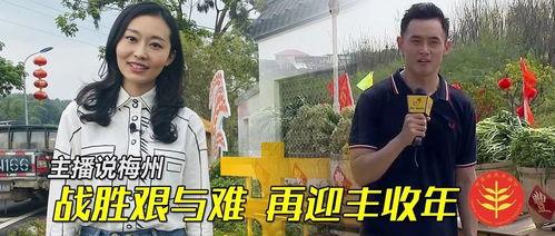 梅州最新爆料新闻视频播放,视频揭露惊人真相，引发社会热议！